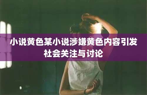 小说黄色某小说涉嫌黄色内容引发社会关注与讨论