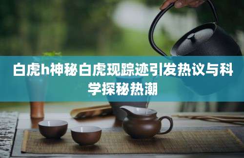 白虎h神秘白虎现踪迹引发热议与科学探秘热潮