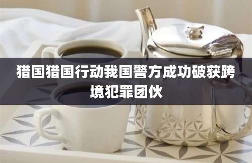猎国猎国行动我国警方成功破获跨境犯罪团伙