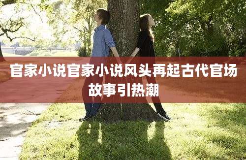 官家小说官家小说风头再起古代官场故事引热潮