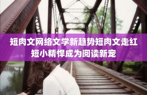 短肉文网络文学新趋势短肉文走红短小精悍成为阅读新宠