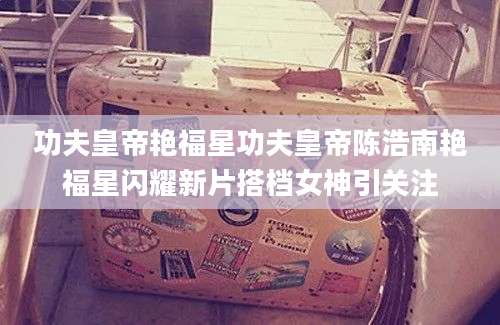 功夫皇帝艳福星功夫皇帝陈浩南艳福星闪耀新片搭档女神引关注