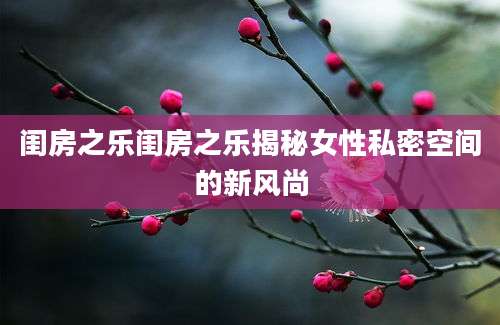 闺房之乐闺房之乐揭秘女性私密空间的新风尚