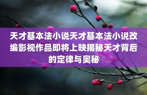 天才基本法小说天才基本法小说改编影视作品即将上映揭秘天才背后的定律与奥秘