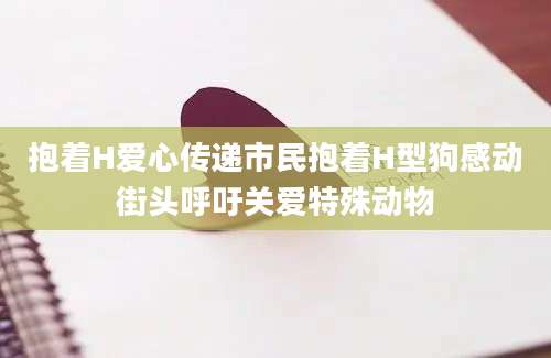 抱着H爱心传递市民抱着H型狗感动街头呼吁关爱特殊动物