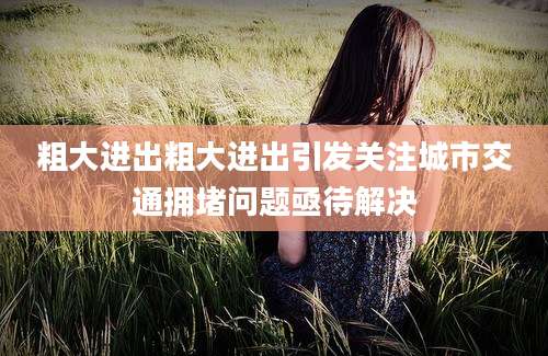 粗大进出粗大进出引发关注城市交通拥堵问题亟待解决
