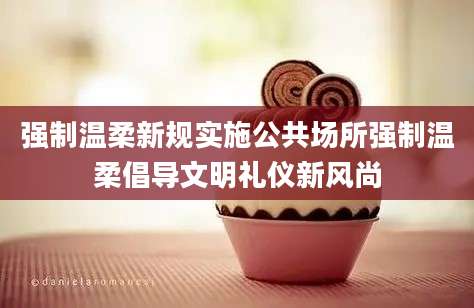强制温柔新规实施公共场所强制温柔倡导文明礼仪新风尚