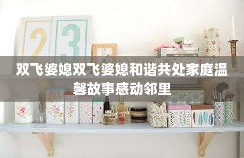 双飞婆媳双飞婆媳和谐共处家庭温馨故事感动邻里