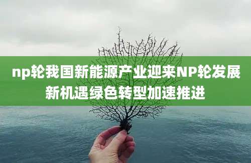 np轮我国新能源产业迎来NP轮发展新机遇绿色转型加速推进