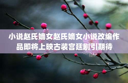 小说赵氏嫡女赵氏嫡女小说改编作品即将上映古装宫廷剧引期待