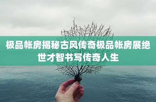 极品帐房揭秘古风传奇极品帐房展绝世才智书写传奇人生