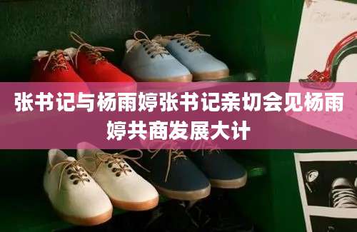 张书记与杨雨婷张书记亲切会见杨雨婷共商发展大计