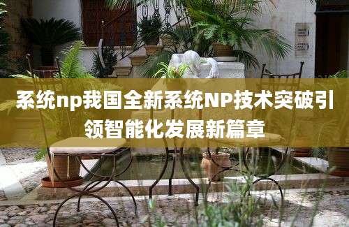 系统np我国全新系统NP技术突破引领智能化发展新篇章