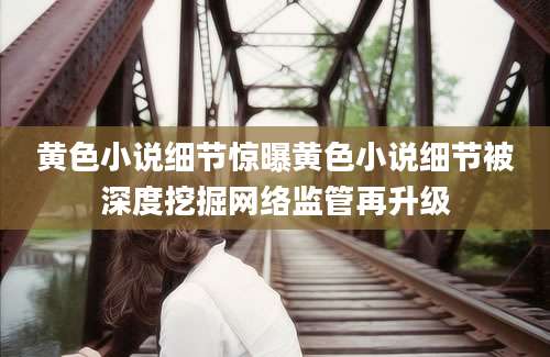 黄色小说细节惊曝黄色小说细节被深度挖掘网络监管再升级