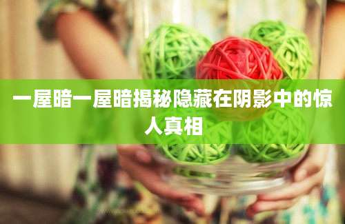 一屋暗一屋暗揭秘隐藏在阴影中的惊人真相