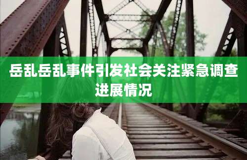 岳乱岳乱事件引发社会关注紧急调查进展情况