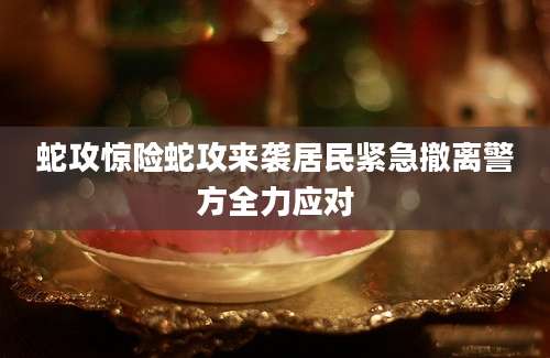 蛇攻惊险蛇攻来袭居民紧急撤离警方全力应对