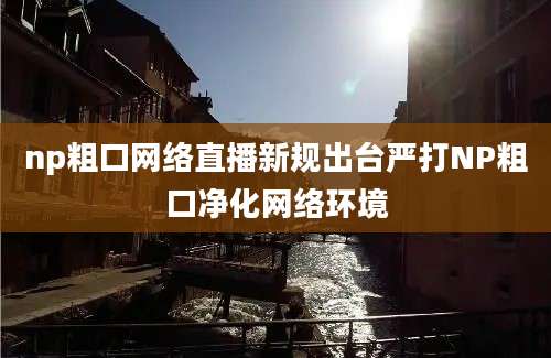 np粗口网络直播新规出台严打NP粗口净化网络环境