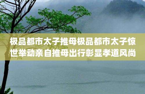 极品都市太子推母极品都市太子惊世举动亲自推母出行彰显孝道风尚