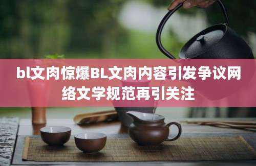 bl文肉惊爆BL文肉内容引发争议网络文学规范再引关注