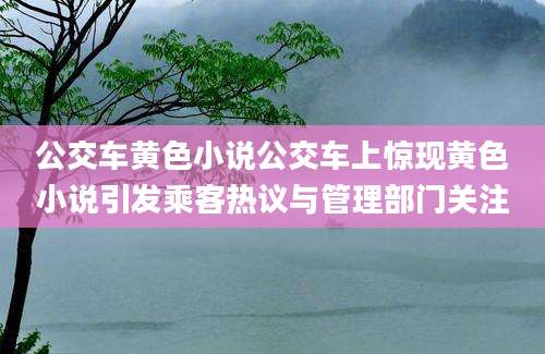 公交车黄色小说公交车上惊现黄色小说引发乘客热议与管理部门关注