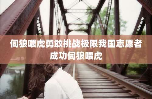 伺狼喂虎勇敢挑战极限我国志愿者成功伺狼喂虎