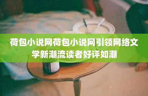 荷包小说网荷包小说网引领网络文学新潮流读者好评如潮