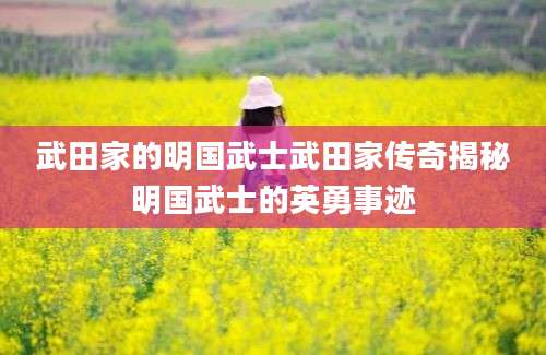 武田家的明国武士武田家传奇揭秘明国武士的英勇事迹