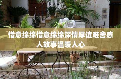 惜意绵绵惜意绵绵深情厚谊难舍感人故事温暖人心