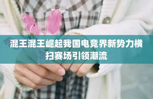 混王混王崛起我国电竞界新势力横扫赛场引领潮流