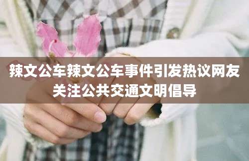 辣文公车辣文公车事件引发热议网友关注公共交通文明倡导