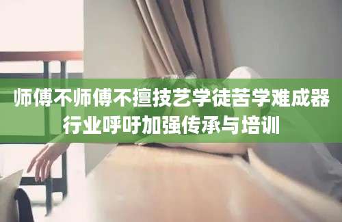 师傅不师傅不擅技艺学徒苦学难成器行业呼吁加强传承与培训