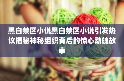 黑白禁区小说黑白禁区小说引发热议揭秘神秘组织背后的惊心动魄故事