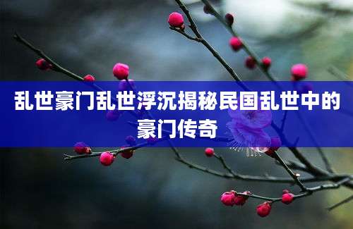 乱世豪门乱世浮沉揭秘民国乱世中的豪门传奇