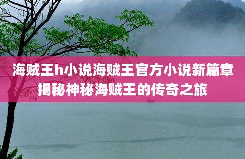 海贼王h小说海贼王官方小说新篇章揭秘神秘海贼王的传奇之旅