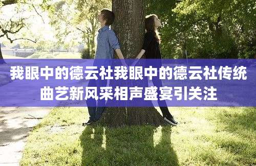 我眼中的德云社我眼中的德云社传统曲艺新风采相声盛宴引关注