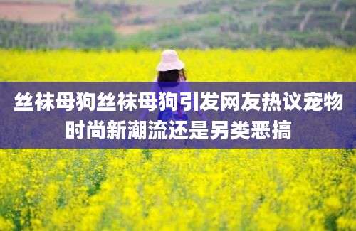 丝袜母狗丝袜母狗引发网友热议宠物时尚新潮流还是另类恶搞
