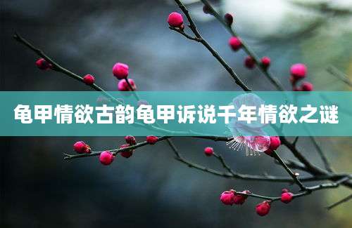 龟甲情欲古韵龟甲诉说千年情欲之谜