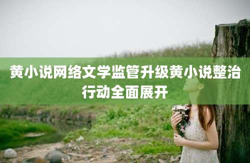 黄小说网络文学监管升级黄小说整治行动全面展开