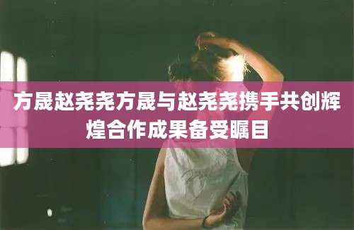 方晟赵尧尧方晟与赵尧尧携手共创辉煌合作成果备受瞩目