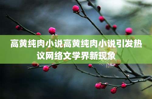 高黄纯肉小说高黄纯肉小说引发热议网络文学界新现象
