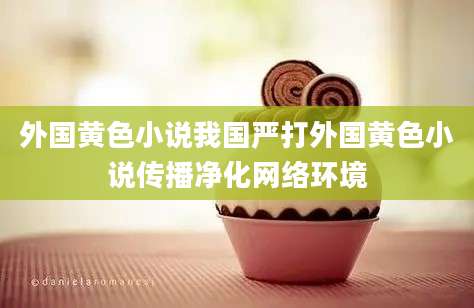 外国黄色小说我国严打外国黄色小说传播净化网络环境
