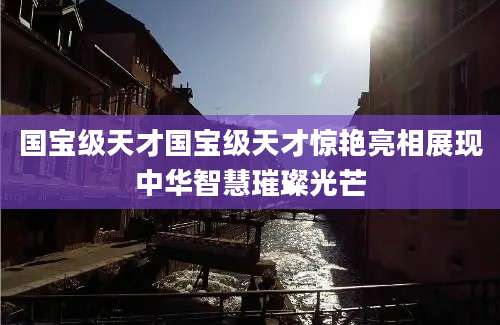 国宝级天才国宝级天才惊艳亮相展现中华智慧璀璨光芒