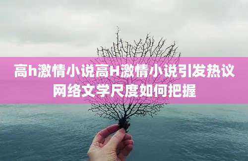 高h激情小说高H激情小说引发热议网络文学尺度如何把握
