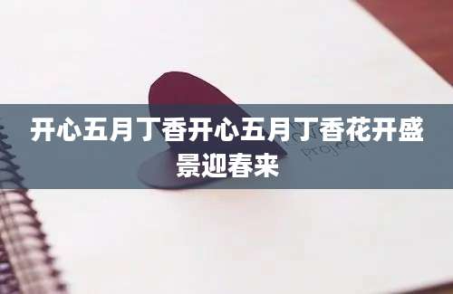 开心五月丁香开心五月丁香花开盛景迎春来