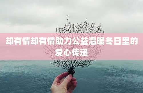 却有情却有情助力公益温暖冬日里的爱心传递