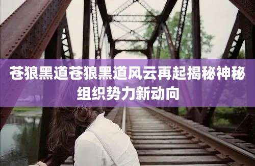苍狼黑道苍狼黑道风云再起揭秘神秘组织势力新动向