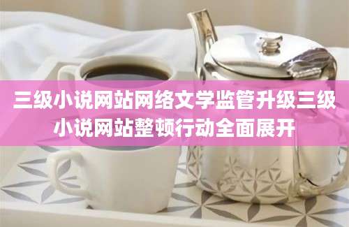 三级小说网站网络文学监管升级三级小说网站整顿行动全面展开