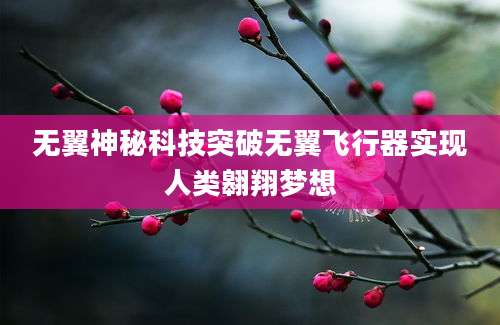 无翼神秘科技突破无翼飞行器实现人类翱翔梦想