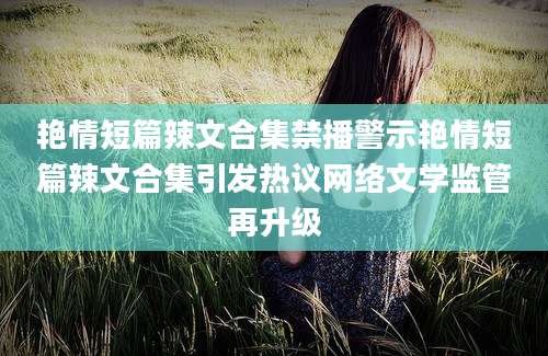 艳情短篇辣文合集禁播警示艳情短篇辣文合集引发热议网络文学监管再升级